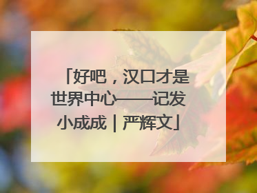 好吧，汉口才是世界中心——记发小成成｜严辉文