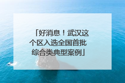 好消息！武汉这个区入选全国首批综合类典型案例
