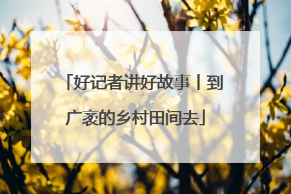 好记者讲好故事丨到广袤的乡村田间去