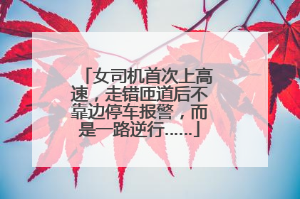 女司机首次上高速，走错匝道后不靠边停车报警，而是一路逆行……