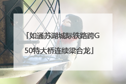 如通苏湖城际铁路跨G50特大桥连续梁合龙