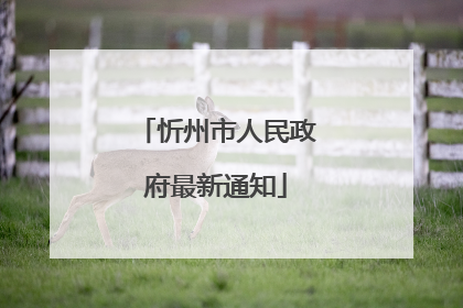 忻州市人民政府最新通知
