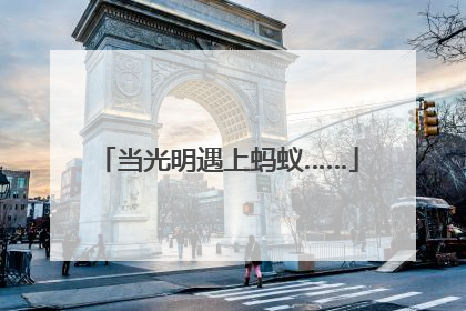 当光明遇上蚂蚁……