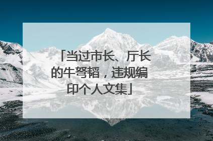 当过市长、厅长的牛弩韬，违规编印个人文集