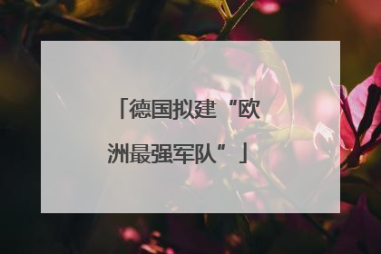 德国拟建“欧洲最强军队”