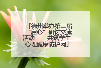德州举办第二届“启心”研讨交流活动——共筑学生心理健康防护网