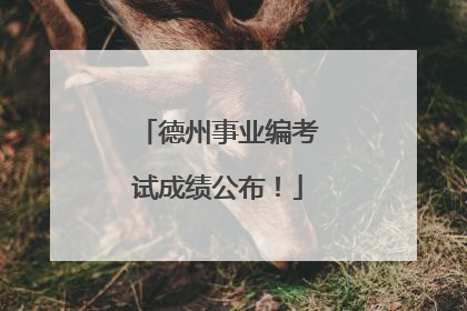 德州事业编考试成绩公布！