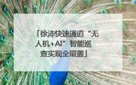 徐沛快速通道“无人机+AI”智能巡查实现全覆盖