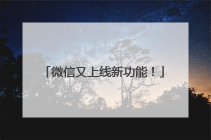 微信又上线新功能！