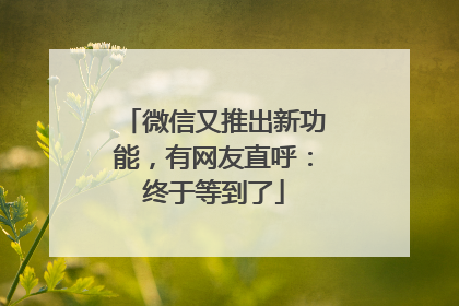 微信又推出新功能，有网友直呼：终于等到了