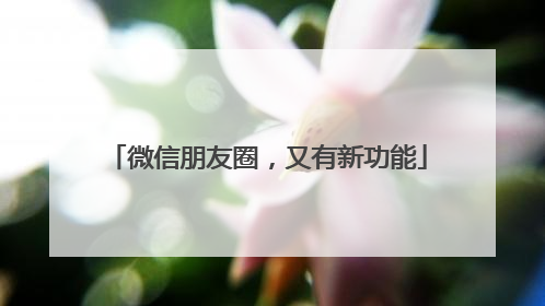 微信朋友圈，又有新功能