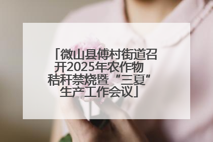 微山县傅村街道召开2025年农作物秸秆禁烧暨“三夏”生产工作会议