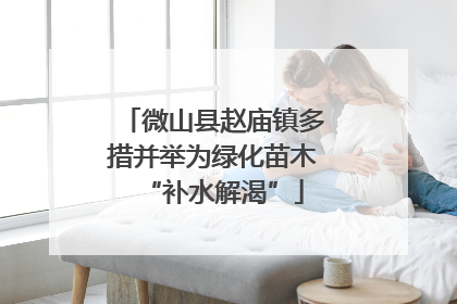 微山县赵庙镇多措并举为绿化苗木“补水解渴”