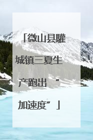微山县驩城镇三夏生产跑出 “加速度”