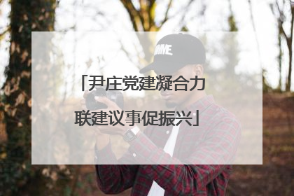 尹庄党建凝合力 联建议事促振兴