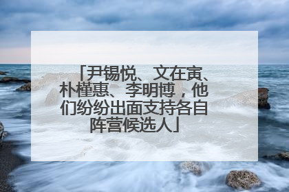 尹锡悦、文在寅、朴槿惠、李明博，他们纷纷出面支持各自阵营候选人
