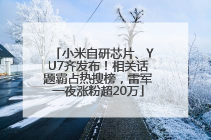 小米自研芯片、YU7齐发布！相关话题霸占热搜榜，雷军一夜涨粉超20万