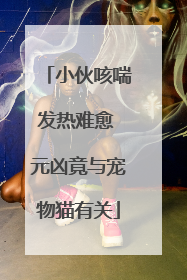 小伙咳喘发热难愈 元凶竟与宠物猫有关