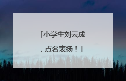 小学生刘云成，点名表扬！