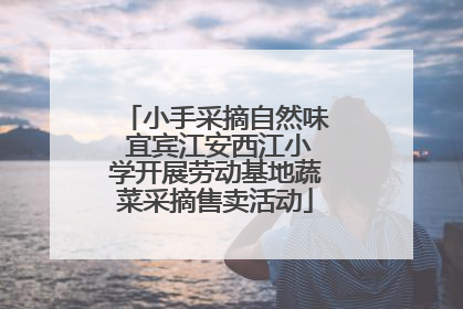 小手采摘自然味 宜宾江安西江小学开展劳动基地蔬菜采摘售卖活动