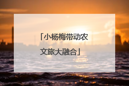 小杨梅带动农文旅大融合