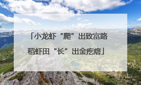 小龙虾“爬”出致富路 稻虾田“长”出金疙瘩