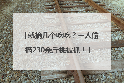 就摘几个吃吃？三人偷摘230余斤桃被抓！