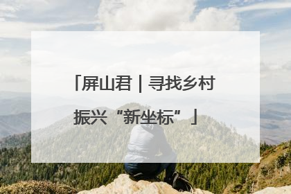 屏山君｜寻找乡村振兴“新坐标”