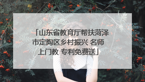 山东省教育厅帮扶菏泽市定陶区乡村振兴 名师上门教 专利免费送