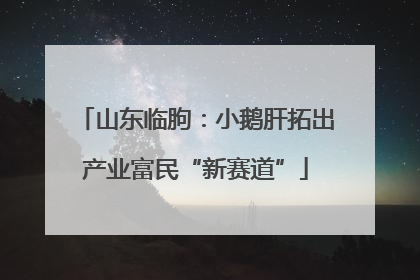 山东临朐：小鹅肝拓出产业富民“新赛道”