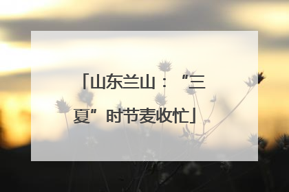 山东兰山：“三夏”时节麦收忙