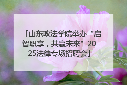 山东政法学院举办“启智职享，共赢未来”2025法律专场招聘会