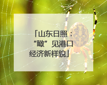 山东日照：“瞰”见港口经济新样貌