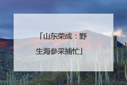山东荣成：野生海参采捕忙