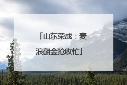 山东荣成：麦浪翻金抢收忙