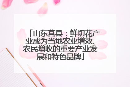 山东莒县：鲜切花产业成为当地农业增效、农民增收的重要产业发展和特色品牌