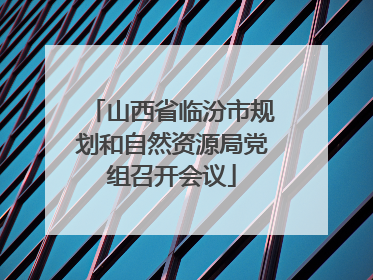 山西省临汾市规划和自然资源局党组召开会议