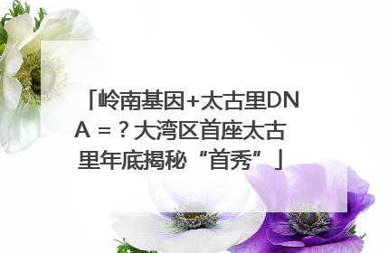 岭南基因+太古里DNA =？大湾区首座太古里年底揭秘“首秀”