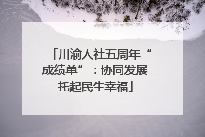 川渝人社五周年“成绩单”：协同发展托起民生幸福