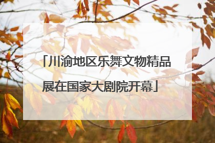 川渝地区乐舞文物精品展在国家大剧院开幕