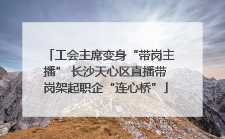 工会主席变身“带岗主播” 长沙天心区直播带岗架起职企“连心桥”
