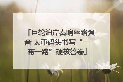 巨轮泊岸奏响丝路强音 太重码头书写“一带一路”硬核答卷