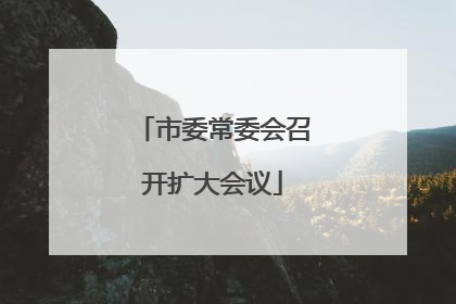 市委常委会召开扩大会议