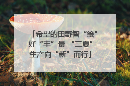 希望的田野智“绘”好“丰”景 “三夏”生产向“新”而行