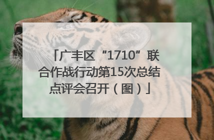 广丰区“1710”联合作战行动第15次总结点评会召开（图）