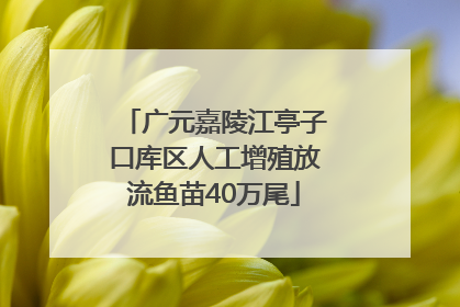 广元嘉陵江亭子口库区人工增殖放流鱼苗40万尾