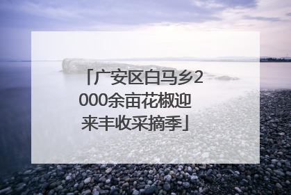广安区白马乡2000余亩花椒迎来丰收采摘季