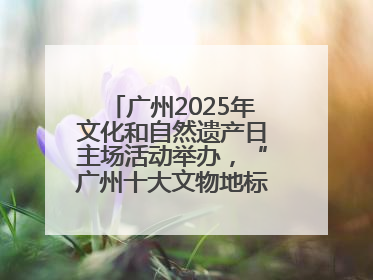 广州2025年文化和自然遗产日主场活动举办，“广州十大文物地标”公布