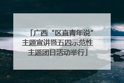 广西“区直青年说”主题宣讲暨五四示范性主题团日活动举行