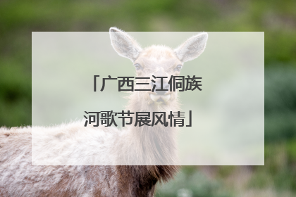 广西三江侗族河歌节展风情